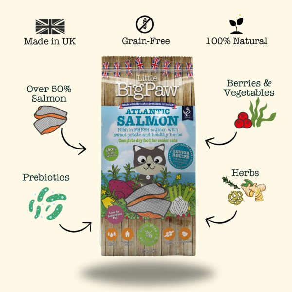 Atlantic Salmon Complete dry food for Senior Cats Cheap