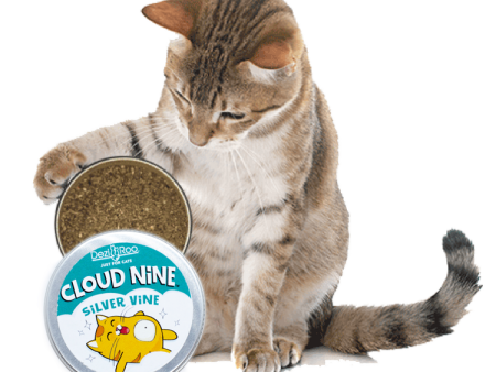 Cloud Nine Silver Vine - Medium Online