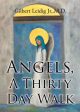 Angels, A Thirty Day Walk Online Sale