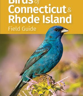 Birds of Connecticut & Rhode Island Field Guide Supply