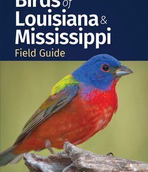 Birds of Louisiana & Mississippi Field Guide For Discount