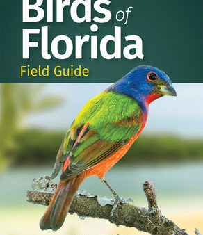 Birds of Florida Field Guide For Cheap