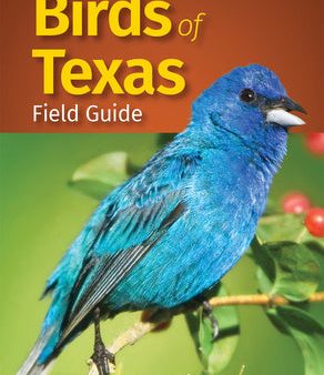 Birds of Texas Field Guide Discount