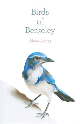 Birds of Berkeley Online Hot Sale