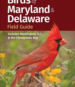 Birds of Maryland & Delaware Field Guide: Includes Washington, D.C., & the Chesapeake Bay Online Sale