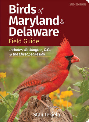 Birds of Maryland & Delaware Field Guide: Includes Washington, D.C., & the Chesapeake Bay Online Sale