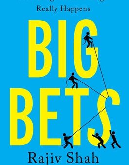 Big Bets: How Large-Scale Change Really Happens Hot on Sale