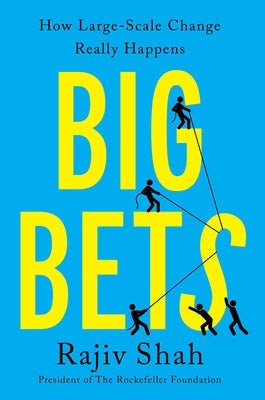 Big Bets: How Large-Scale Change Really Happens Hot on Sale