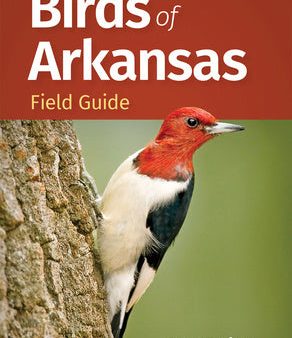 Birds of Arkansas Field Guide For Discount