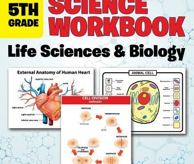 5th Grade Science Workbook: Life Sciences & Biology For Cheap