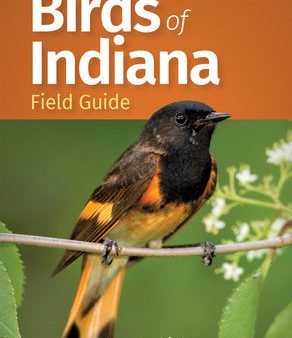 Birds of Indiana Field Guide Online now