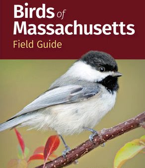 Birds of Massachusetts Field Guide Fashion