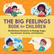 Big Feelings Book for Children: Mindfulness Moments to Manage Anger, Excitement, Anxiety, and Sadness, The Hot on Sale