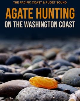 Agate Hunting on the Washington Coast For Discount