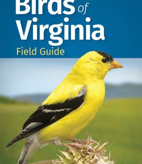 Birds of Virginia Field Guide For Cheap