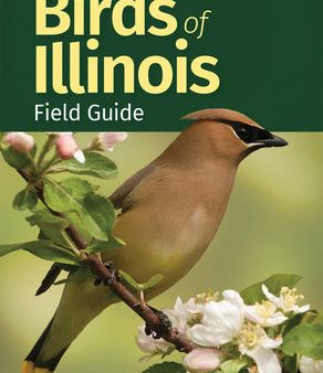 Birds of Illinois Field Guide For Sale