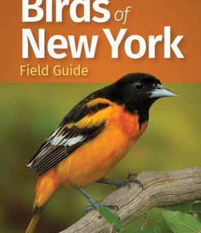 Birds of New York Field Guide Discount