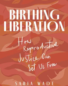 Birthing Liberation: How Reproductive Justice Can Set Us Free Sale