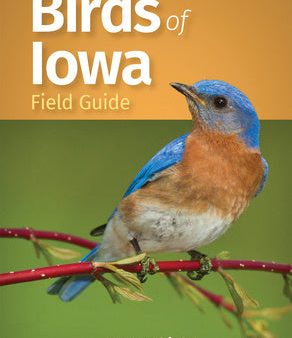 Birds of Iowa Field Guide Online Hot Sale