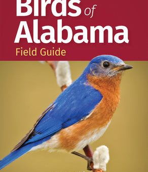 Birds of Alabama Field Guide Supply