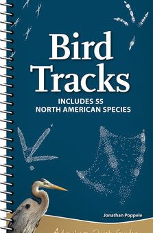 Bird Tracks: Includes 55 North American Species Hot on Sale