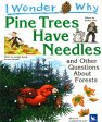 I Wonder Why: Pine Trees Have Needles Hot on Sale