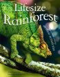 Lifesize: Rainforest For Sale